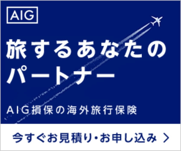 AIG損保海外旅行保険